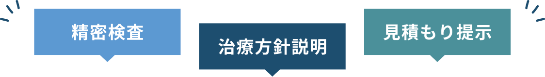 精密検査 / 治療方針説明 / 見積もり提示